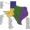 Pecans for Texas